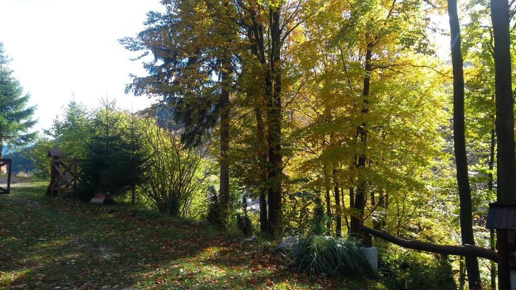 Fatrapark 1 U Sovicky Studio, Kuchynka, Kupelna,S Balkonom Gratis Parkovanie V Podzemnej Garazi 루좀베로크 외부 사진